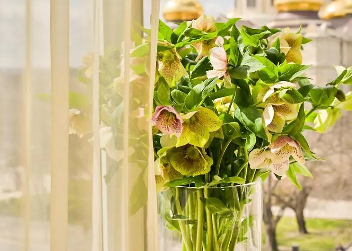 Boutique Splendid 3*